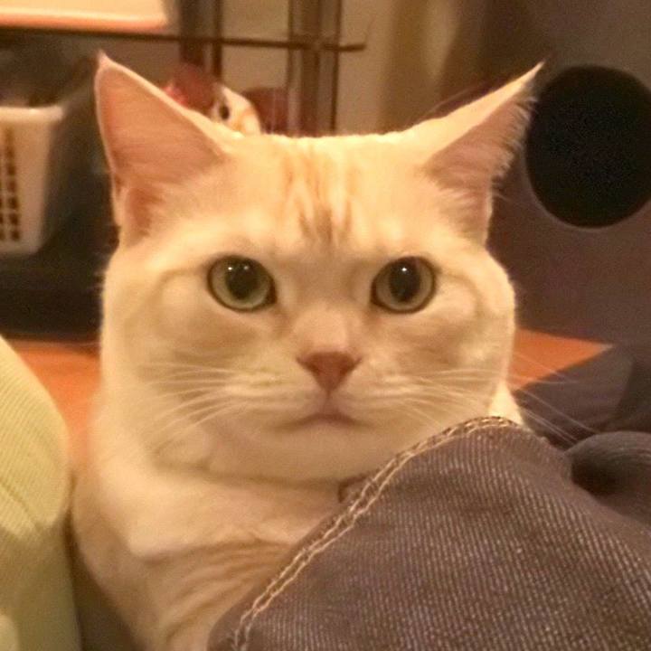 Ca298d59 e2ad 4d91 9b3f b6001c292830 1597795728174