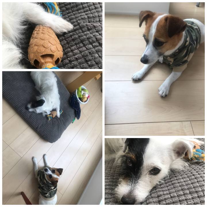 Ca29b166 8d3f 459a b6cd f413088e7975 1529453284623