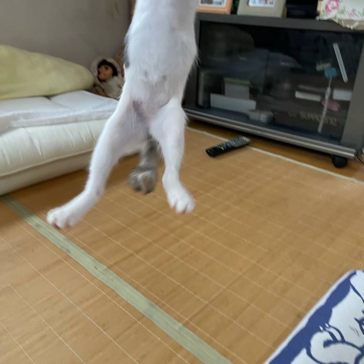 Ca29ba08 e2f0 4812 9d4e ac1cb84a125d 1658875735008