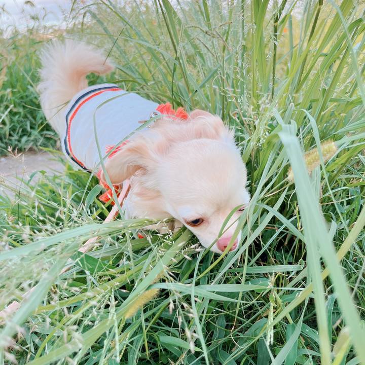 Ca29ca59 d834 4cca aaef c8550a00f816 1662976131354