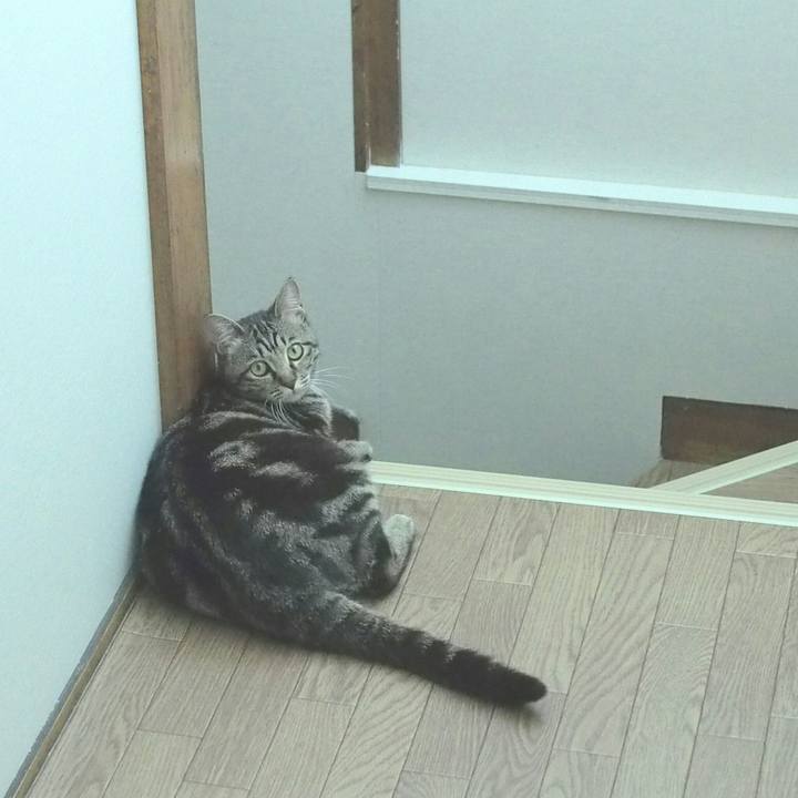 Ca29e3e1 13ac 4600 ad41 03d1b61433bd 1526728207938