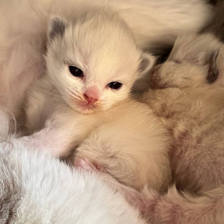 Ca2a1fb4 256b 4312 8163 255b203a0828 1763102863581