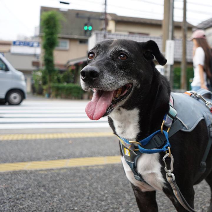 Ca2a4550 25d6 4ed4 8484 1d3b6ff1d257 1757980387556