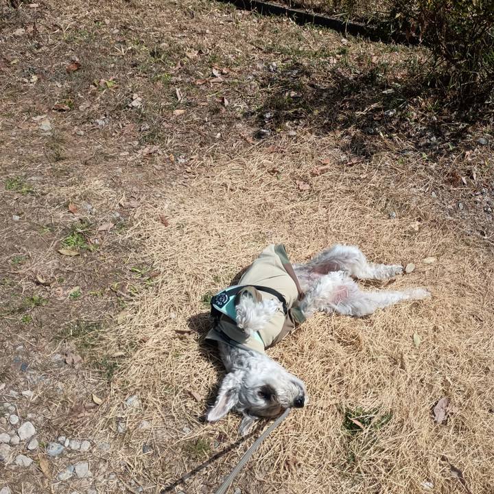 Ca2a7def c627 417a aaca 0bdd6e8261fb 1773572947700