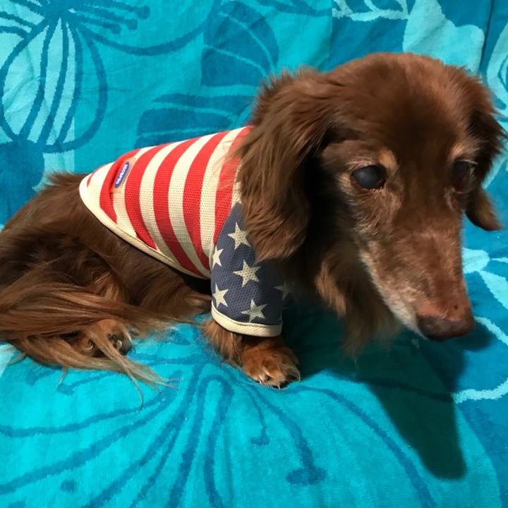 Ca2a8693 46a9 470d afff 2a596c162272 1530668421787