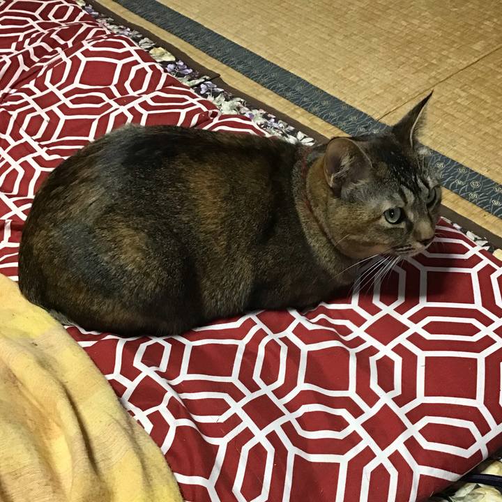 Ca2abc34 5fa7 4f7d 9624 816268ddf4cd 1639346859296