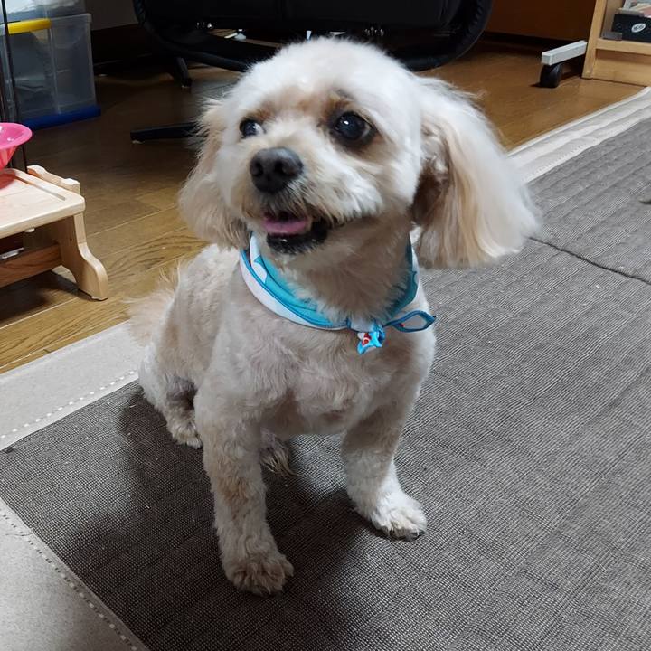 Ca2ac4db bd3b 42b6 b7ca 932c5d41ed77 1659265189866