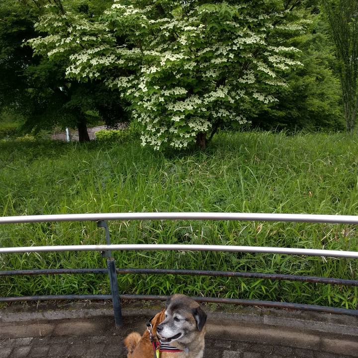 Ca2ac581 2255 469c 8ca2 4e951a392b66 1525915988991