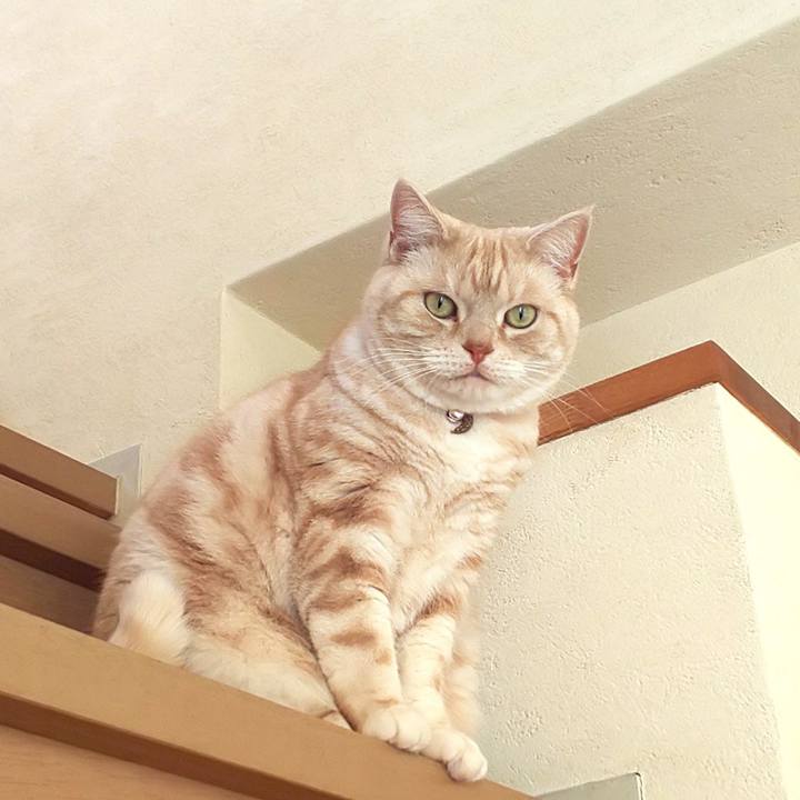 Ca2ae503 3138 44c9 b1a3 c18d1e9a54a7 1549943061789