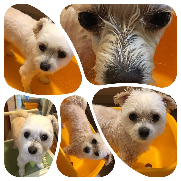 Ca2b1635 3d51 4bc4 b7bc c0a2fd365cf8 1535002018123