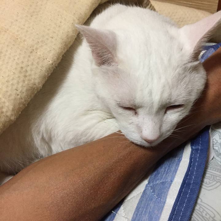 Ca2b416b 5a30 4e5c b4fd 75b116bde8dd 1569100343707