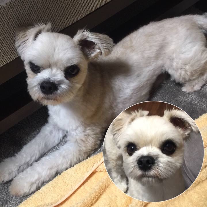 Ca2b43b0 b9ed 49c9 852b 0ce60f72cabe 1531646919273