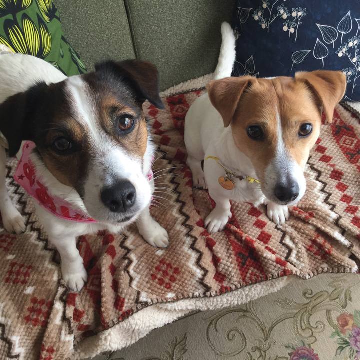 Ca2b4674 0b94 4379 a643 e93bc44b603f 1555628152712