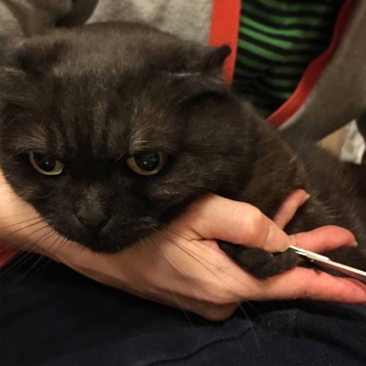 Ca2b9442 3f46 4f2f 9fbb 658642066495 1525907468952