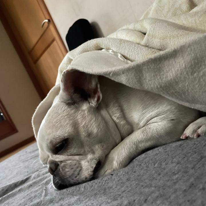 Ca2c7ef0 a96b 4e66 83b4 0e9395f35e46 1758585127616