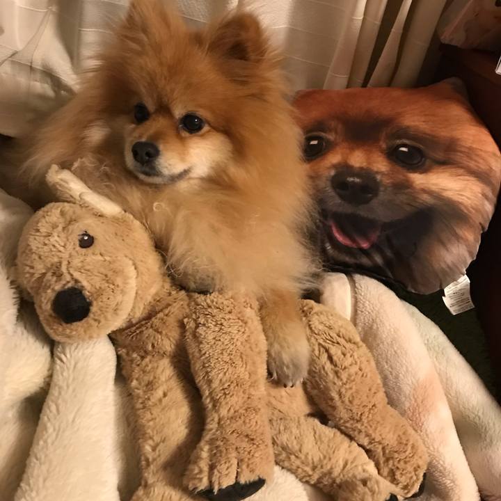 Ca2cafd6 f77d 4580 856f 5bbff5acd56e 1550583051658