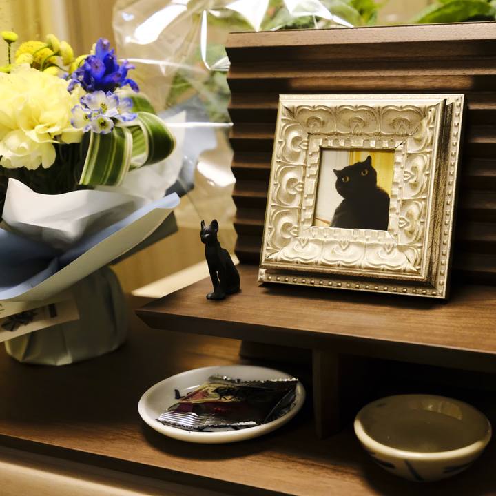 Ca2ce328 fed8 4cce a7ee 7faca83c9c73 1650537431989