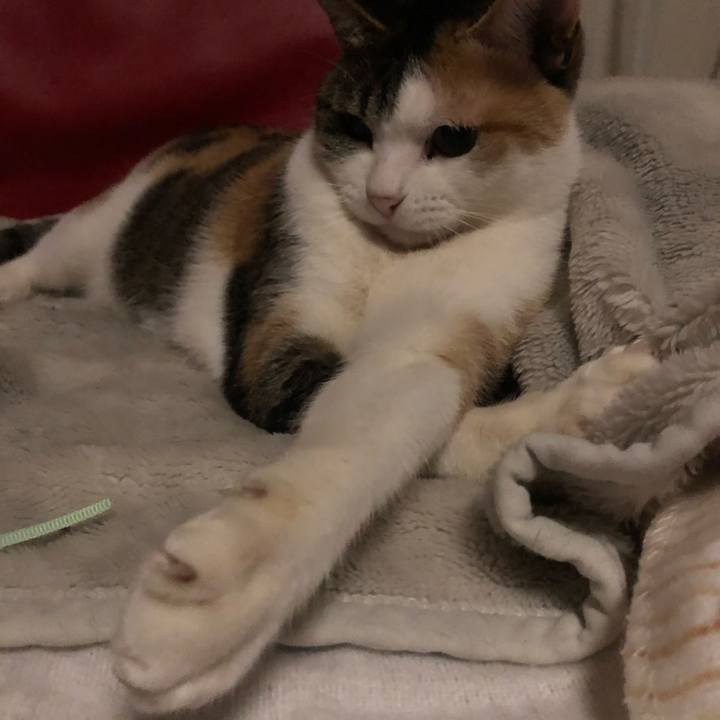 Ca2cee0d fa08 4589 b8a5 bac983b37cbd 1607266677984