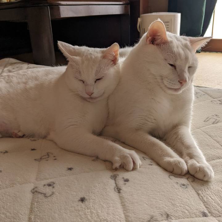 Ca2d07ce cbc1 49fe b7d6 e28574b7995e 1673236341642