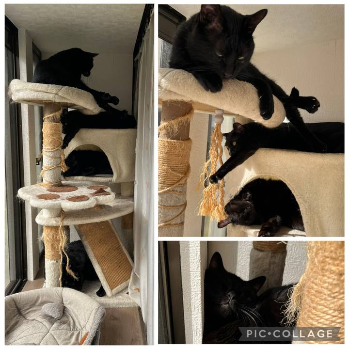 Ca2d1710 16ed 400d b8df bc6888d17ec5 1763955440591