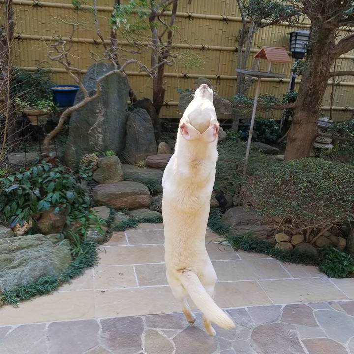 Ca2d34fd 0f58 4a74 bc68 47745048c4e9 1552711463500