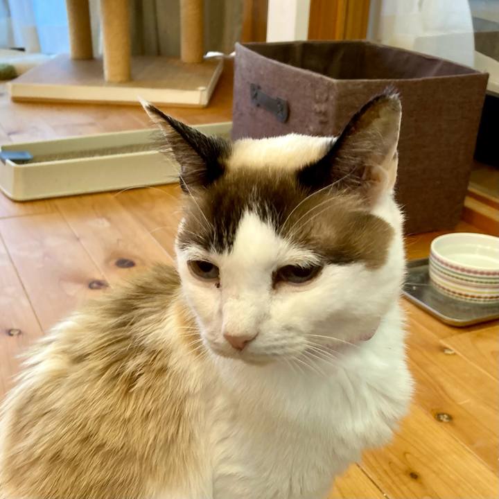 Ca2d4ebc 8b94 4898 998e 204dce6cd72a 1676539821728