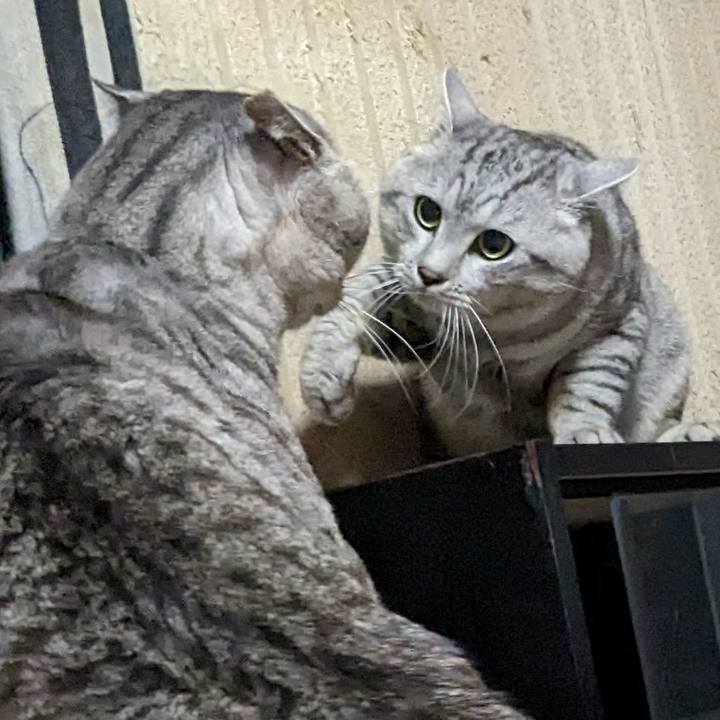 Ca2d5d63 525a 4e84 a39e f0603b67f14f 1717941712836