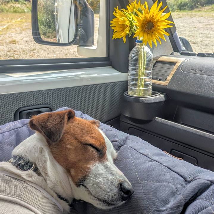 Ca2d8e0b a69f 4c65 b1db 9a5fd7782baf 1756184778266