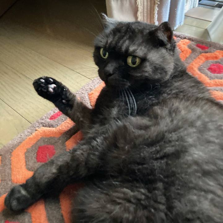 Ca2d8efb db10 4dcd ad88 641a24328e2c 1596584043128