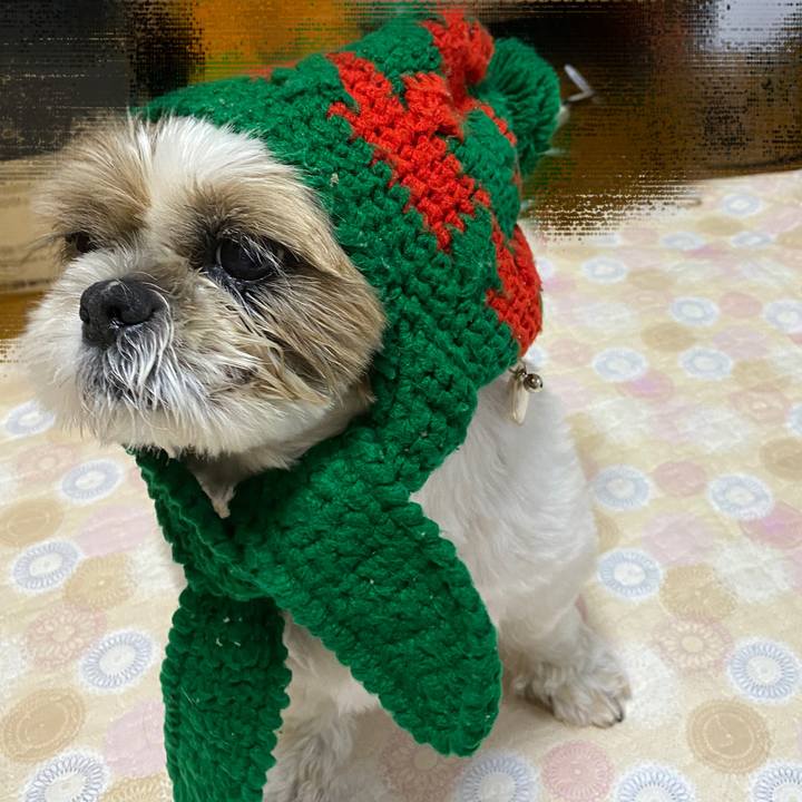 Ca2da8a1 e121 46f6 9a28 4ce01aa4e205 1629079894498