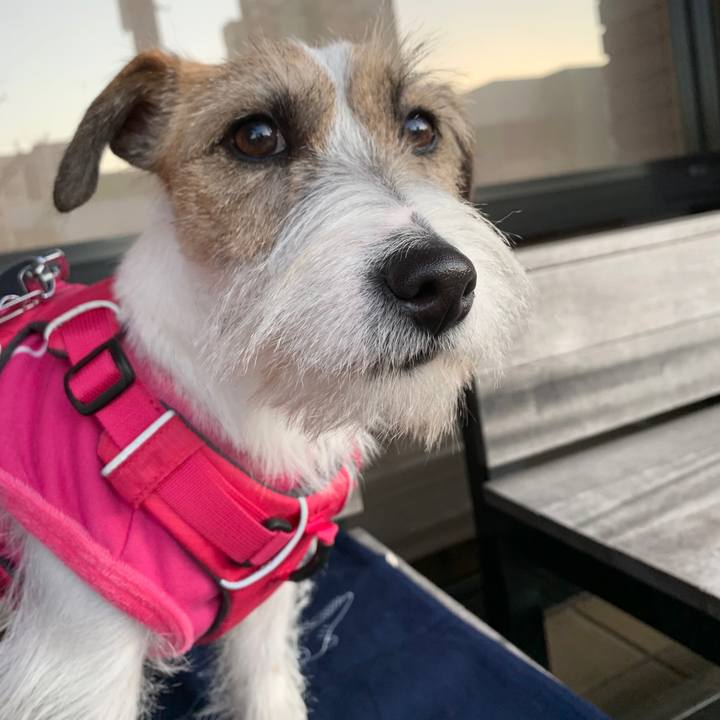 Ca2da8f6 2361 4f62 bacd e9e65fb19e36 1577965119107