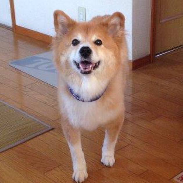 Ca2dcceb f28e 463b ae96 0414ad14223f 1573354698417