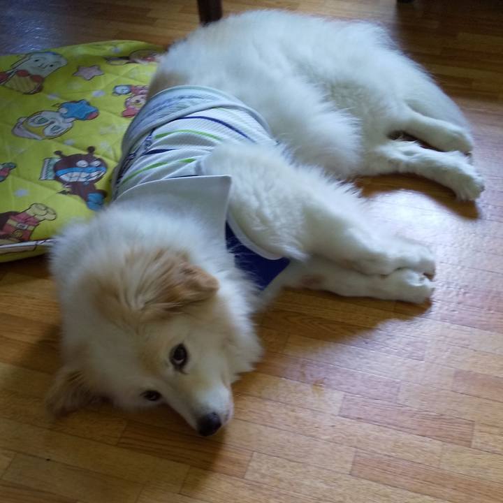 Ca2e099a 967a 4efb 9277 104686453676 1564542495855