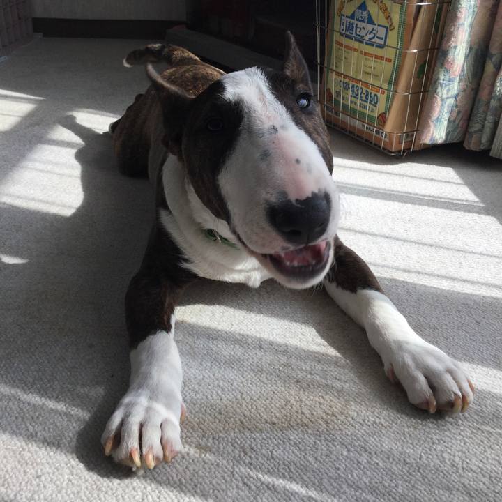 Ca2e36ea 40ae 4db8 ac74 95f3271e979d 1554619297923