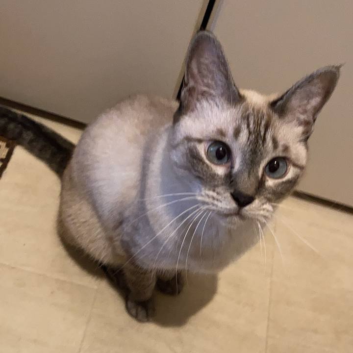 Ca2e384a ce06 43f4 939b e793e0012844 1696289549562