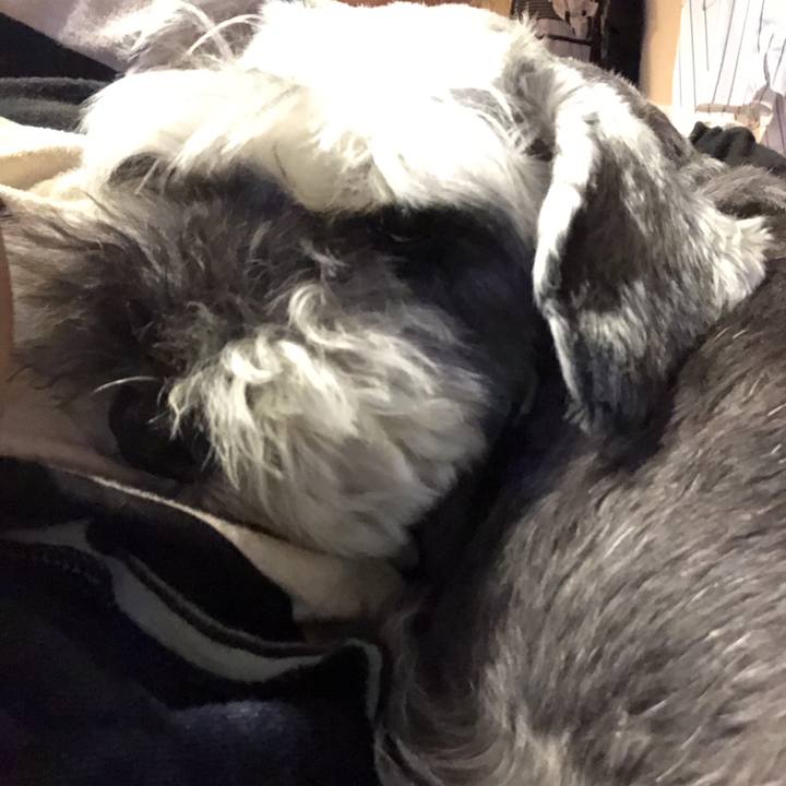 Ca2e3be3 7561 4265 af04 66dad7d43e59 1564919267060