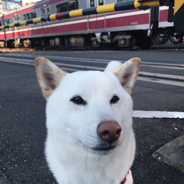 Ca2e3c8d 9246 4167 88df df508943d17f 1510011758184