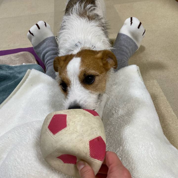 Ca2eb27c f204 402a 9bcd 08be51d7f14e 1703507022298