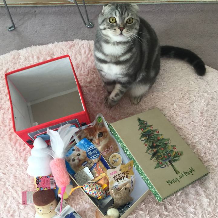 Ca2eb90b 018c 4468 934d 24d9226237d4 1608873697745