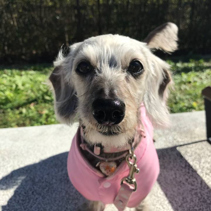 Ca2ef2a5 4e1c 4861 9792 00b42f70c75e 1510456401157