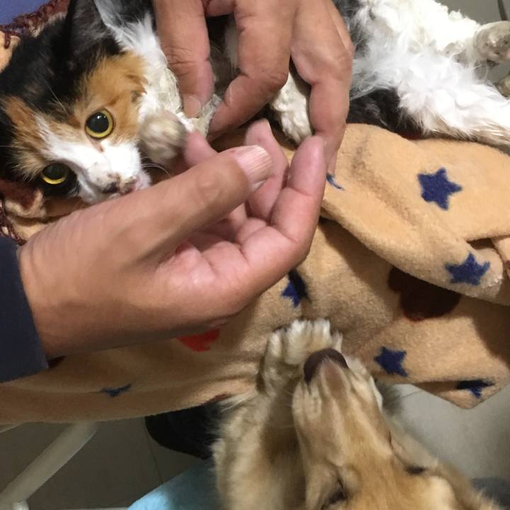 Ca2f0039 f0b5 4c87 90b4 30a7b8f84972 1508038168789