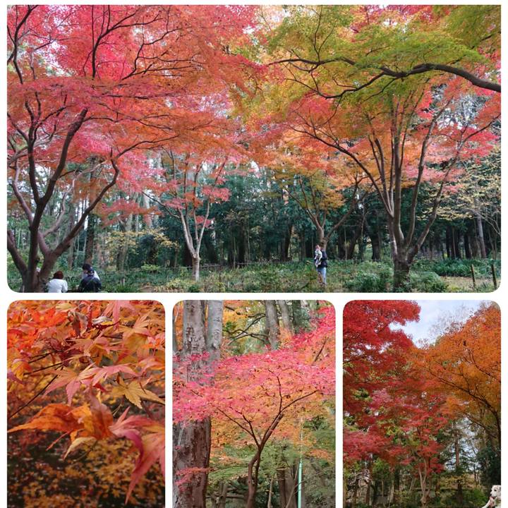 Ca2f0da4 0067 4363 9e80 a7a55e7f6e86 1543755160795