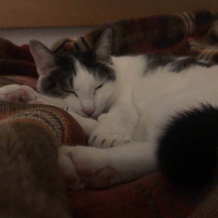 Ca2f4270 8a92 4e6e 8d00 11a0a584d529 1665326851930