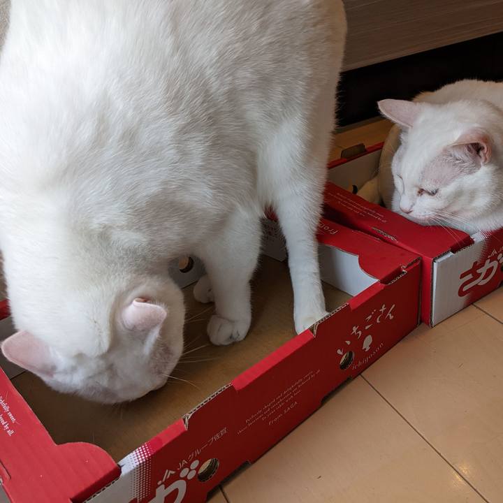 Ca2f4587 c879 4025 82f4 c013a30069af 1651393267301