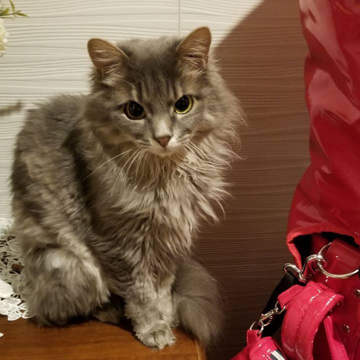 Ca2f8fc0 0f25 4ad8 860c 32401383b245 1566208200657