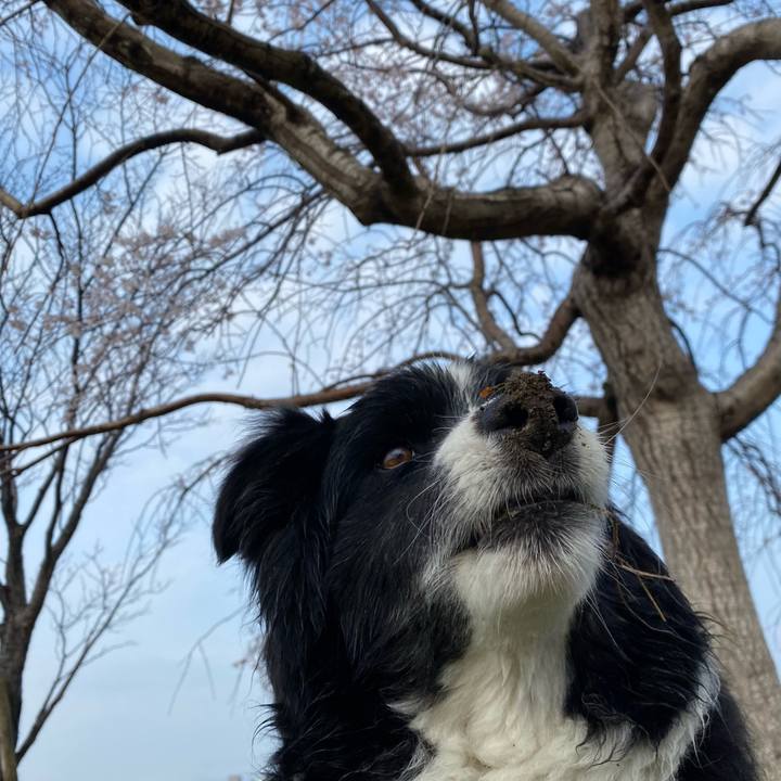 Ca2fa4aa 9119 4bb4 98d8 8db285945b70 1648080144722