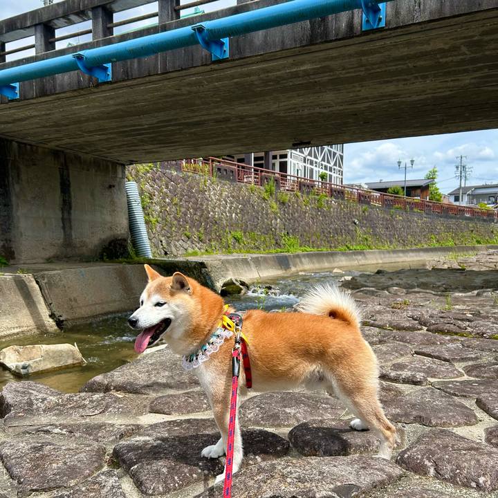 Ca2fa4c6 fea7 469d 85eb 07a4d88d91b0 1717059804742