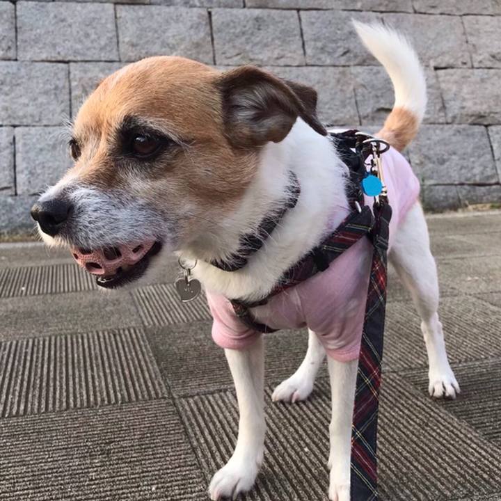 Ca2fb219 2f5b 44df 82ee d172b78b0e7d 1558693026931