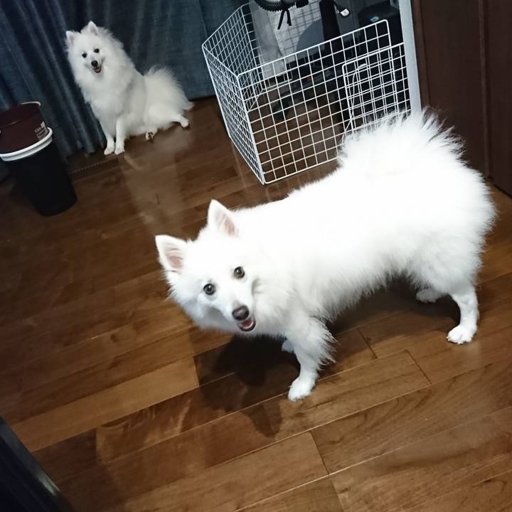 Ca2ffb48 535d 436d 9ab7 e69a45a2bbb9 1561946564707