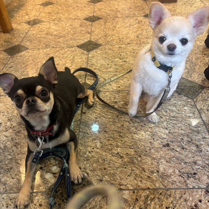 Ca300c15 4423 430f 9b5f 7895585db051 1764842859077